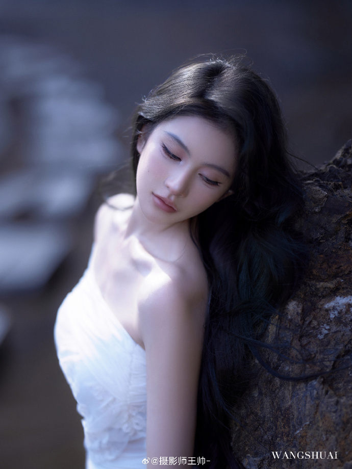 苍鹭与少年 封面